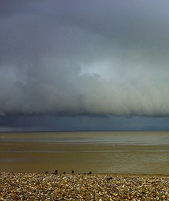 Seals on a pebble beach with heavy clouds overhead.